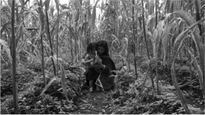 El RETORNO DE MI VOZ