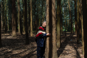 LA MEMORIA DE LOS &Aacute;RBOLES